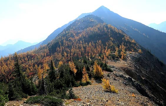 The PCT turning left to traverse below Syncline to Grasshopper Pass.