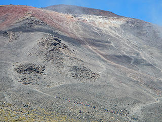 conga line (view full size)