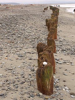Pilings point the way