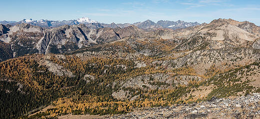 a whole lotta larches