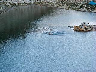 Swimming out from the peninsula