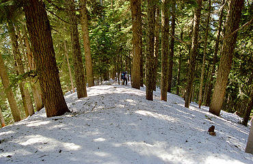 Descending the eastern Sonny Boy Creek Ridge