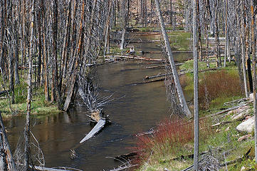 Chewuch River slough created by logjam post-fire