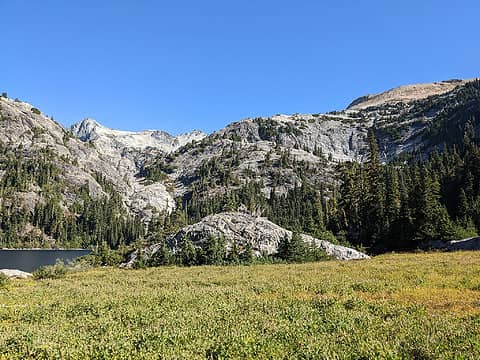 Spade meadows