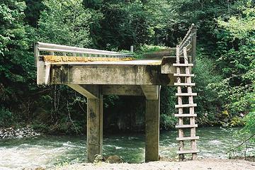 Decimated Bridge
