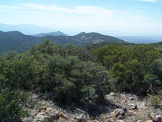 View west to Tule Pk.