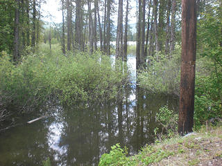 Keechelus Lake is high this year.