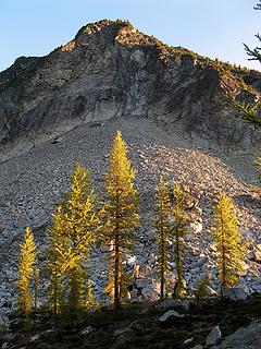 Larches below Switchblade