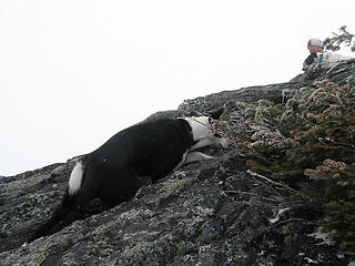 Jack's first rock scramble