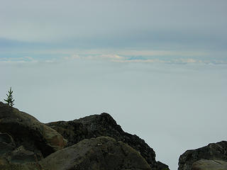 Summit-Mt Rainier between the cloud layers