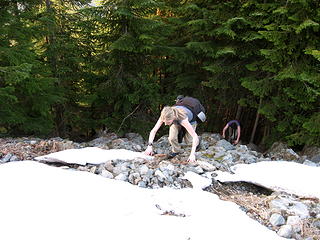 tisha & jeremy using whippets' technique!