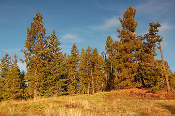 A pleasant fall morning