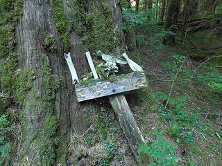 the Six Ridge trail sign.  Bones, how appropriate.