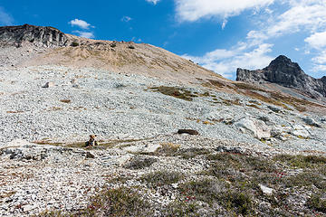 waiting for me to finish taking photos, and our route behind