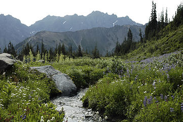 Fricaba Basin