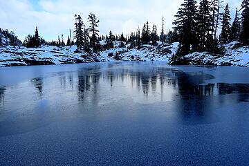 Trees reflecting on ice