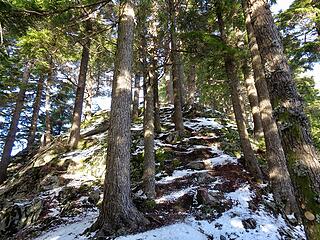 Short scramble toward the summit.