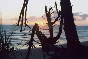 sunset-kalaloch-0706