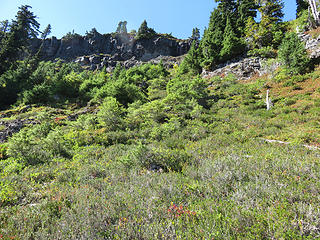 steeper than it looks but only Cl.2 dirt, heather, and grass. Go up center then right to behind trees for easy exit. Big cliffs drop away to far right ( out of view).