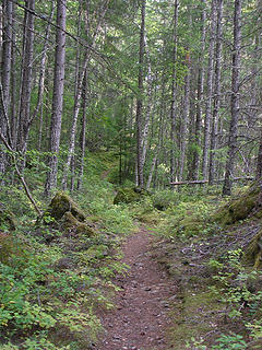 East Bank Trail