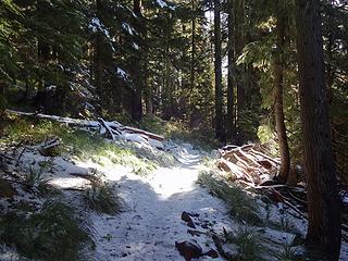 Black Mtn Trail. Some snow started to appear at about 5500.'