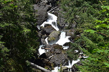 Dosewallips Falls