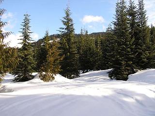 Looking North from road - note: blue skies!