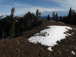 Yes Angry Hiker, I found another snowpatch