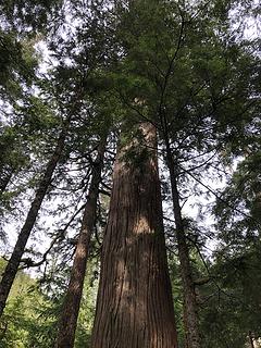 Lake Isabel Trail 4/25/19