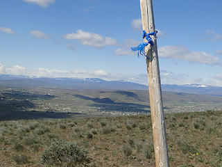 Pole with a blue ribbon on Yakima Skyline trail.