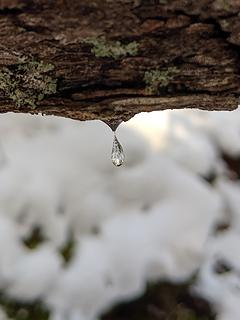 Frozen drop