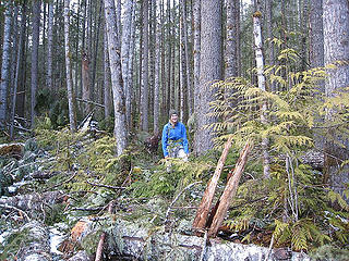 Breaking out near the river.