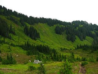 Meadows on the way to Church Mtn