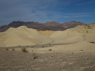 Head of 20 Mule Team Canyon