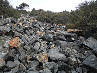 talus