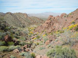 back down the canyon