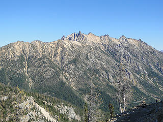 The needles.