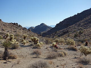 Conical Peak in distance