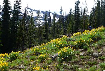 down back to the trail