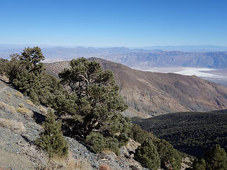 Badwater from trail