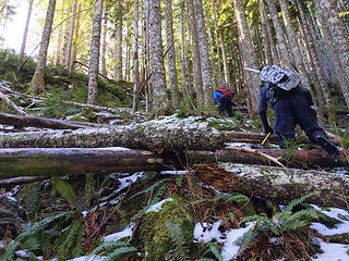 Someplaces there were a lot of blown down trees to step over