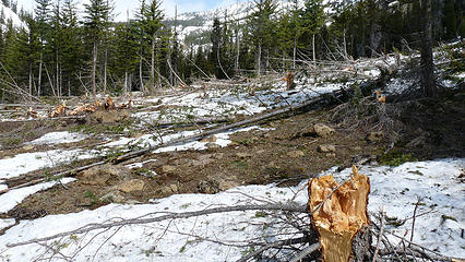 Avalanche debris below Freedom