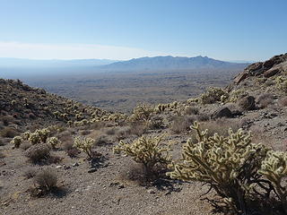 Dead Mountains Wilderness in distance