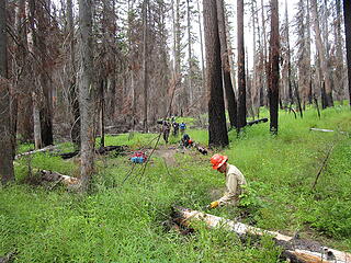 Tom "clearing brush" on the hike out