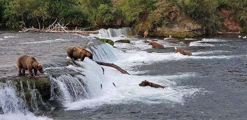 Katmai National Park