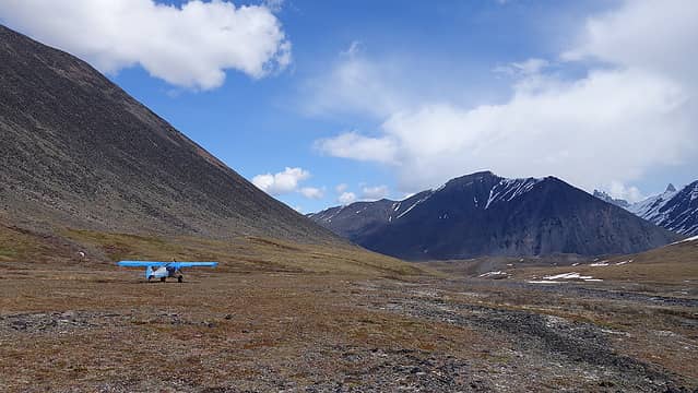Laura landing on the tundra