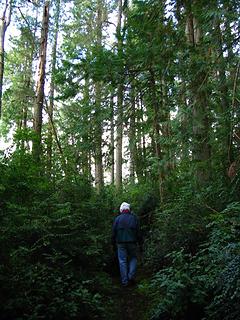 McMicken Forest