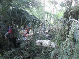 Plowing through the avalanche debris