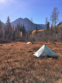 my new plexamid tent in the meadow