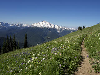 Day 3: Sunshine, clear blue sky, Glacier Peak, Miners Ridge, wildflowers, trail. What more could a hiker want?